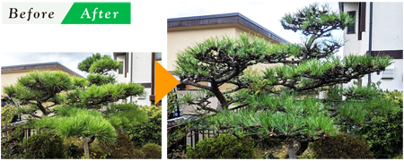 剪定・伐採・草刈り・草抜き〈Bさん邸〉