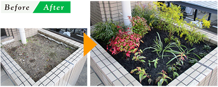 花壇の植栽〈Dマンション様〉
